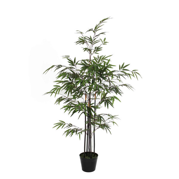 The Seasonal Aisle 120Cm Bamboo Tree in Pot & Reviews Wayfair.co.uk